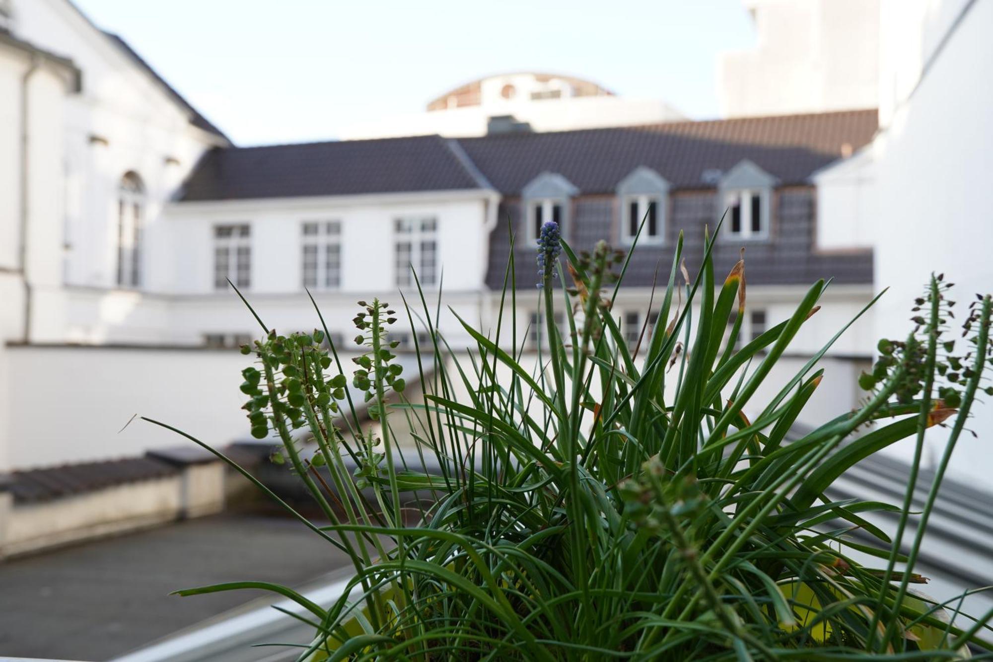 Bright, Spacious Apartment With A Lovely Terrace In The Heart Of Aachen Exterior foto